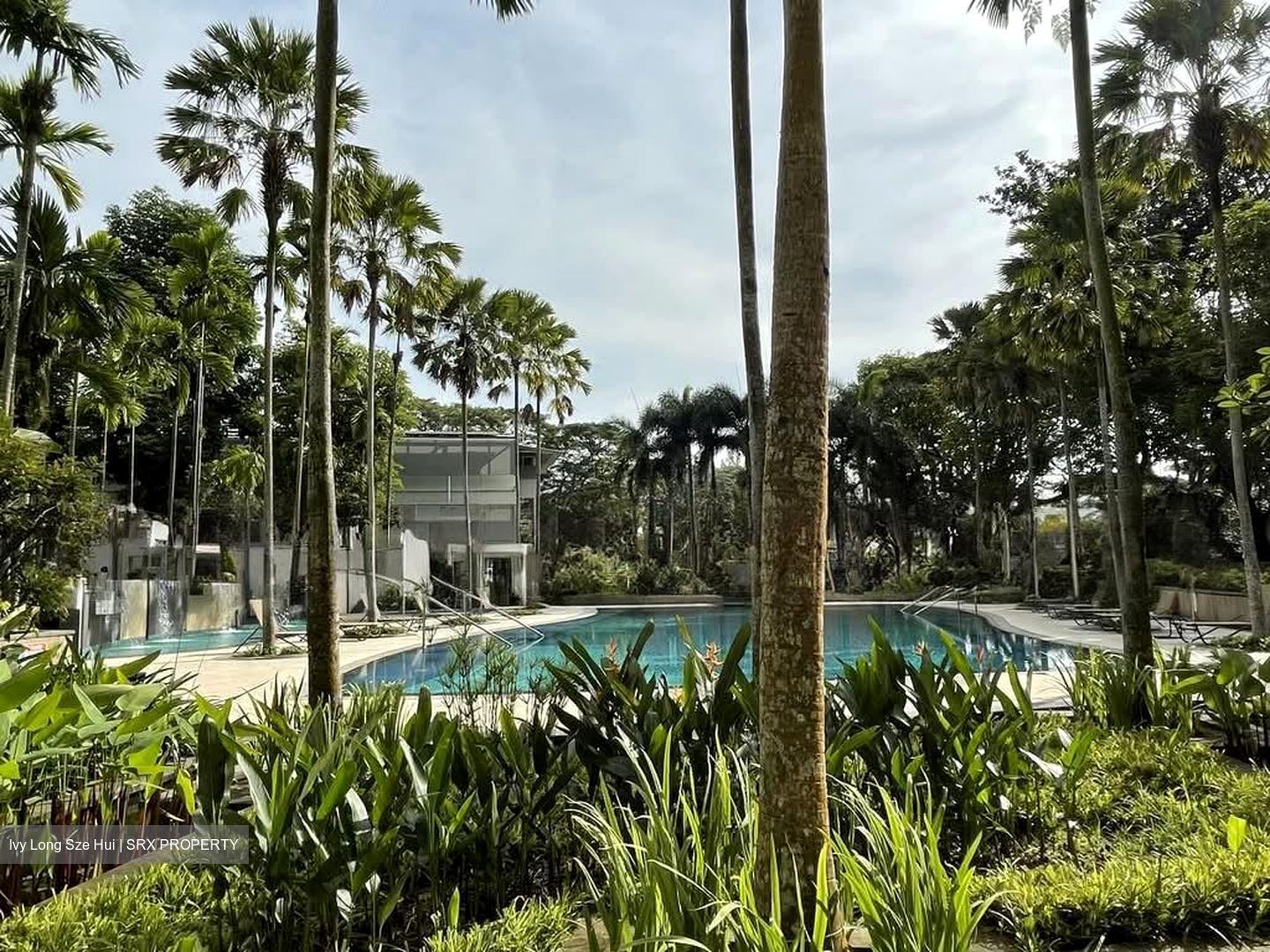 The Belvedere (D15), Condominium #569843701